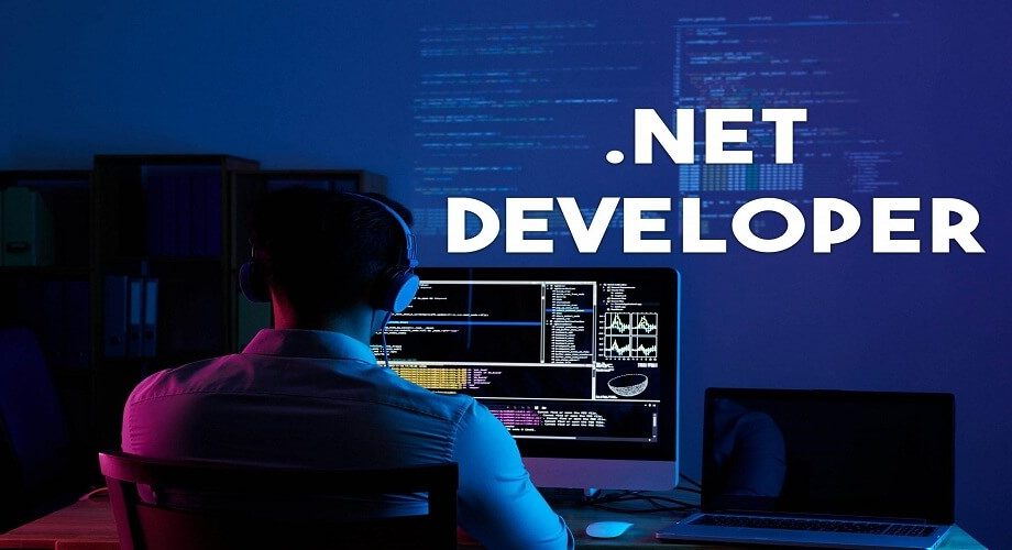 Hiring a .NET Developer