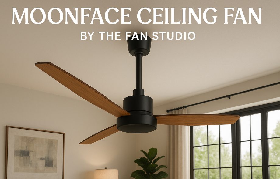 Moonface Ceiling Fan by The Fan Studio