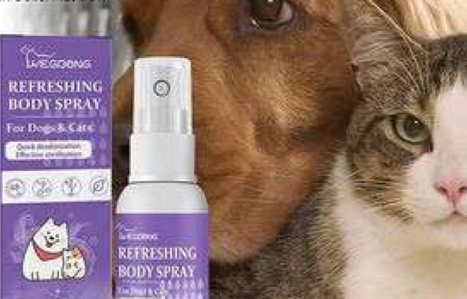 The good news is that pet cleaning doesn’t have to involve harsh chemicals. With eco-friendly solutions, you can maintain a spotless home without putting your pet at risk.