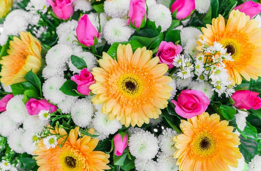 How to Choose the Right Flowers for Every Occasion in May-