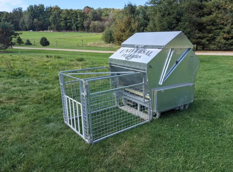 sheep creep feeders