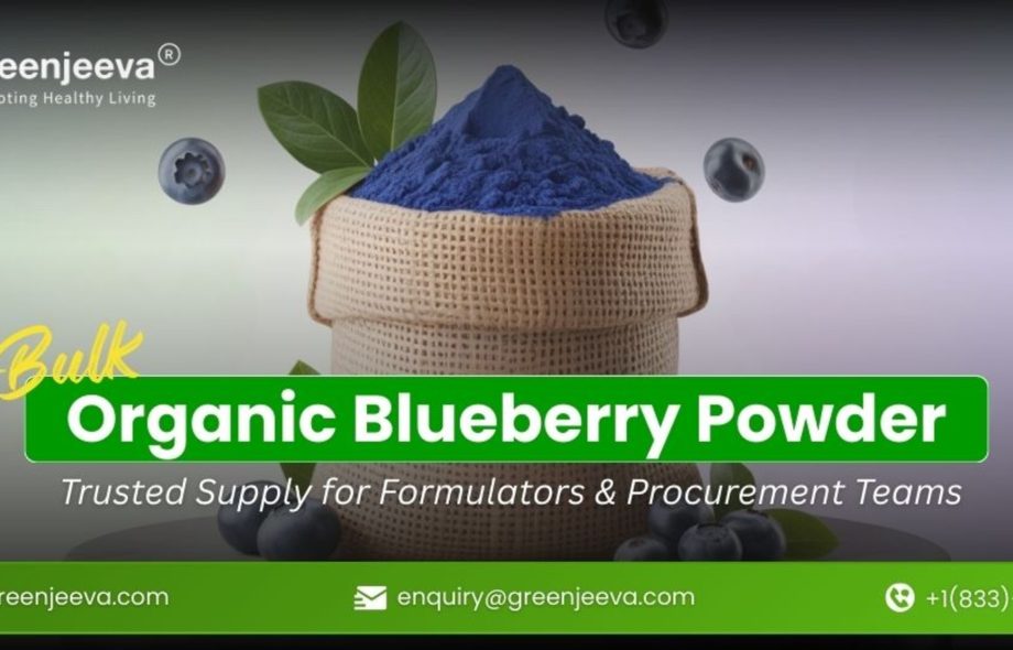 Organic Blueberry Powder in bulk supplier in greeenjeeva