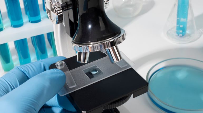 Microscope Calibration Service in India